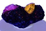 Fluorescent Zircon Crystal and Magnetite in Biotite Schist - Norway #363861-1